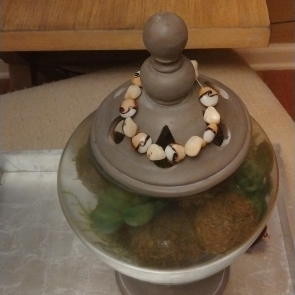 Freshwater Tortoise Pearl Shell Bracelet - Picture 1 of 3